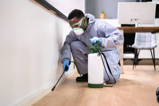 Best Pest Prevention Services  in Everett, PA